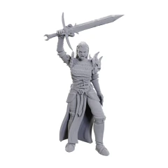 D&D Nolzur's Marvelous Miniatures: W25 Blackguard
