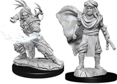 D&D Nolzur`s Marvelous Unpainted Miniatures - Human Druid Male