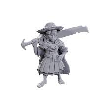 Dungeons And Dragons: Nolzur's Marvelous Unpainted Miniatures - halfling magus low level