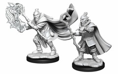 Critical Role Minis - Hobgoblin Wizard & Druid Male (Wave 1)