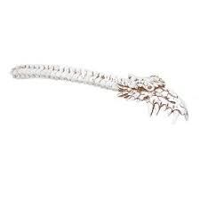 Dragon Skull Back Scratcher 12819