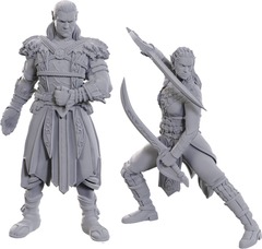 Dungeons & Dragons: Nolzur's Marvelous Unpainted Miniatures - Special Edition Baldur's Gate 3, Jaheira & Halsin