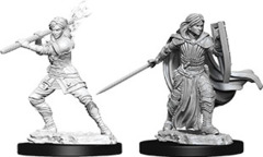 D&D Unpainted Minis - Human Paladin - Female