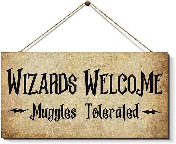 Wizards Weclome Muggles Tolerated Wood Sign
