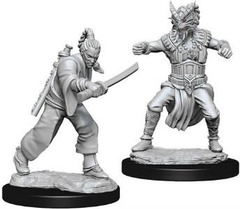 Dungeons And Dragons: Nolzur's Marvelous Unpainted Miniatures - Human W08Male Monk