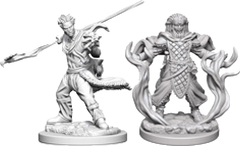 Dungeons And Dragons: Nolzur's Marvelous Unpainted Miniatures - Human Male Druid