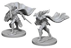 Pathfinder Deep Cuts Unpainted Miniatures: Elf Female Paladin