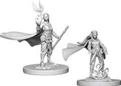 D&D Nolzur`s Marvelous Unpainted Miniatures: W04 Elf Druid Female