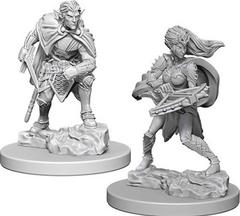 D&D - Nolzur's Marvelous Unpainted Miniatures - Drow