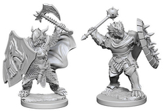 D&D - Nolzur's Marvelous Unpainted Miniatures - Dragonborn Male Paladin