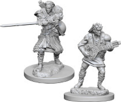 Nolzur's Marvelous Unpainted Miniatures - Human Bard