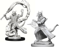 Dungeons And Dragons: Nolzur's Marvelous Unpainted Miniatures - Tiefling Sorceror Male