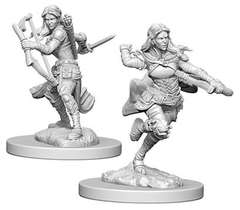 D&D Nolzur`s Marvelous Unpainted Miniatures: Air Genasi Rogue