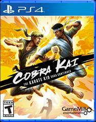 Cobra Kai Karate Kid Saga Continues