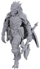 D&D Nolzurs Marvelous Miniatures: W25 Dragonborn of Tiamat