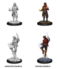 D&D - Nolzur's Marvelous Unpainted Miniatures - Tiefling Sorcerer