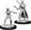 D&D Nolzur's Marvelous Miniatures: Shifter Rogue Female W13