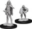 D&D Nolzur`s Marvelous Unpainted Miniatures: W13 Darkling Elder & Darklings