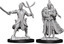 D&D Nolzur`s Marvelous Unpainted Miniatures - Elf Paladin Male