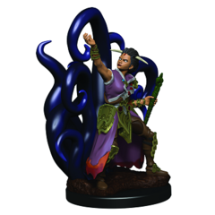 Dungeons & Dragons - Premium Miniatures - Human Warlock