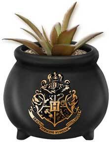 Harry Potter Plant