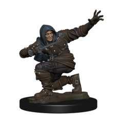 Pathfinder Deep Cuts - Human Rogue Male