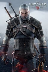 #334 witcher wild hunt