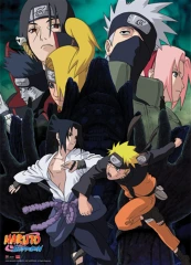 NARUTO SHIPPUDEN NARUTO VS. SASUKE WALL SCROLL