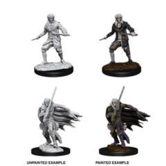 Pathfinder Deep Cuts - Elf Rogue Male Pre-Primed