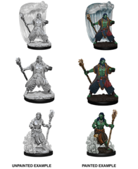 D&D Nolzur's Marvelous Miniatures - Water Genasi Druid Male