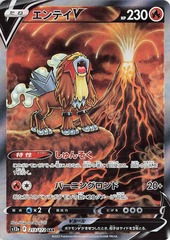 Entei V - 213/172 Special Art Rare Japanese