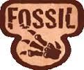 Fossil