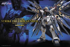 PG - ZGMF-X20A Strike Freedom Gundam