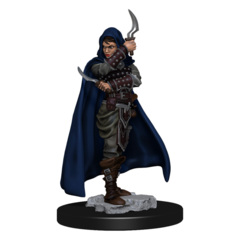 Pathfinder Deep Cuts - Human Rogue Female