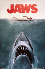 #208 - Jaws Detail