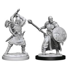 D&D Nolzur's Marvelous Miniatures - Human Barbarian Male