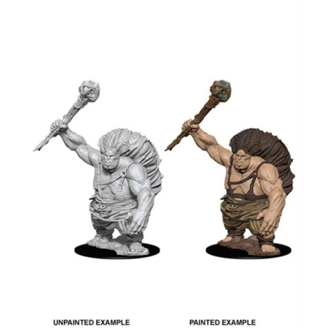 D&D Nolzurs Marvelous Miniatures - Hill Giant