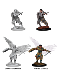 D&D Nolzur's Marvelous Miniatures - Aasimar Fighter Male