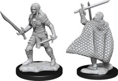 Pathfinder Deep Cuts - Elf Fighter Male