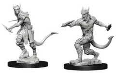 D&D Nolzur's Marvelous Miniatures - Tiefling Rogue Male