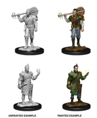 D&D Nolzur's Marvelous Miniatures - Half-Elf Bard Male