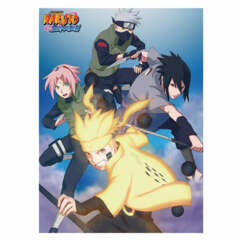 Naruto Shippuden-Group Shine Naruto Sublimation Blanket