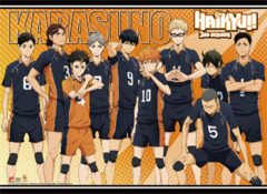 Haikyu!! Group  - Wall Scroll 33