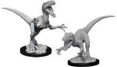 Raptors (Deep Cuts)