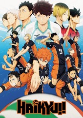 #086 - Haikyu Team