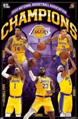 #319 LA Lakers Champions