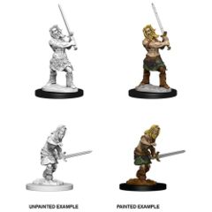 Pathfinder Deep Cuts - Human Barbarian Male Pre-Primed