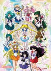Sailor Moon Group Circle - Wall Scroll 33