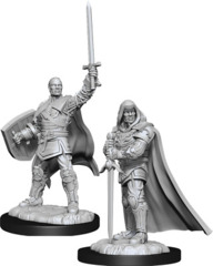 D&D Nolzur's Marvelous Miniatures - Human Paladin Male