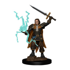 Pathfinder Deep Cuts - Human Cleric Male